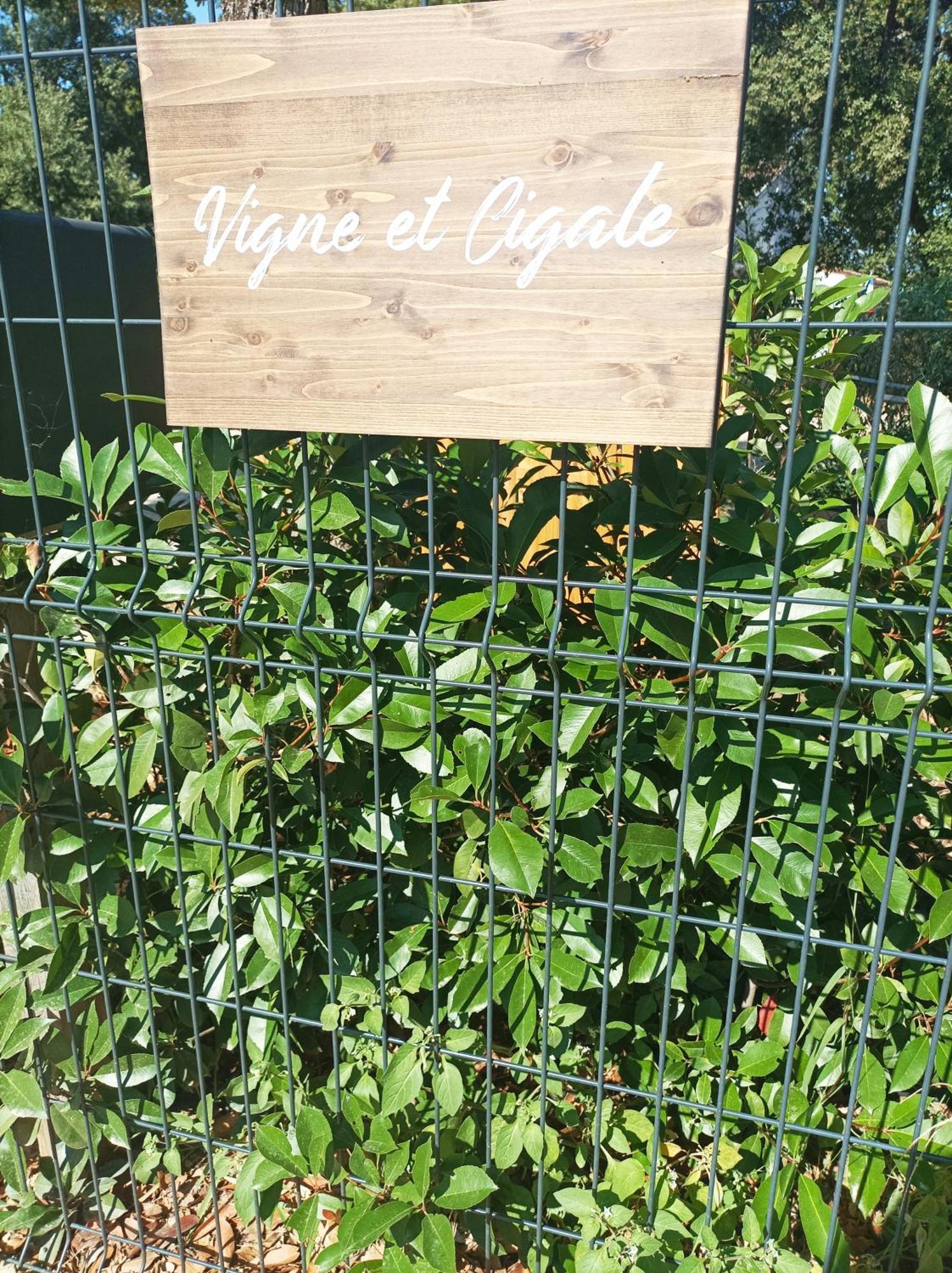 Vigne Et Cigale Apartment Le Thoronet Exterior photo